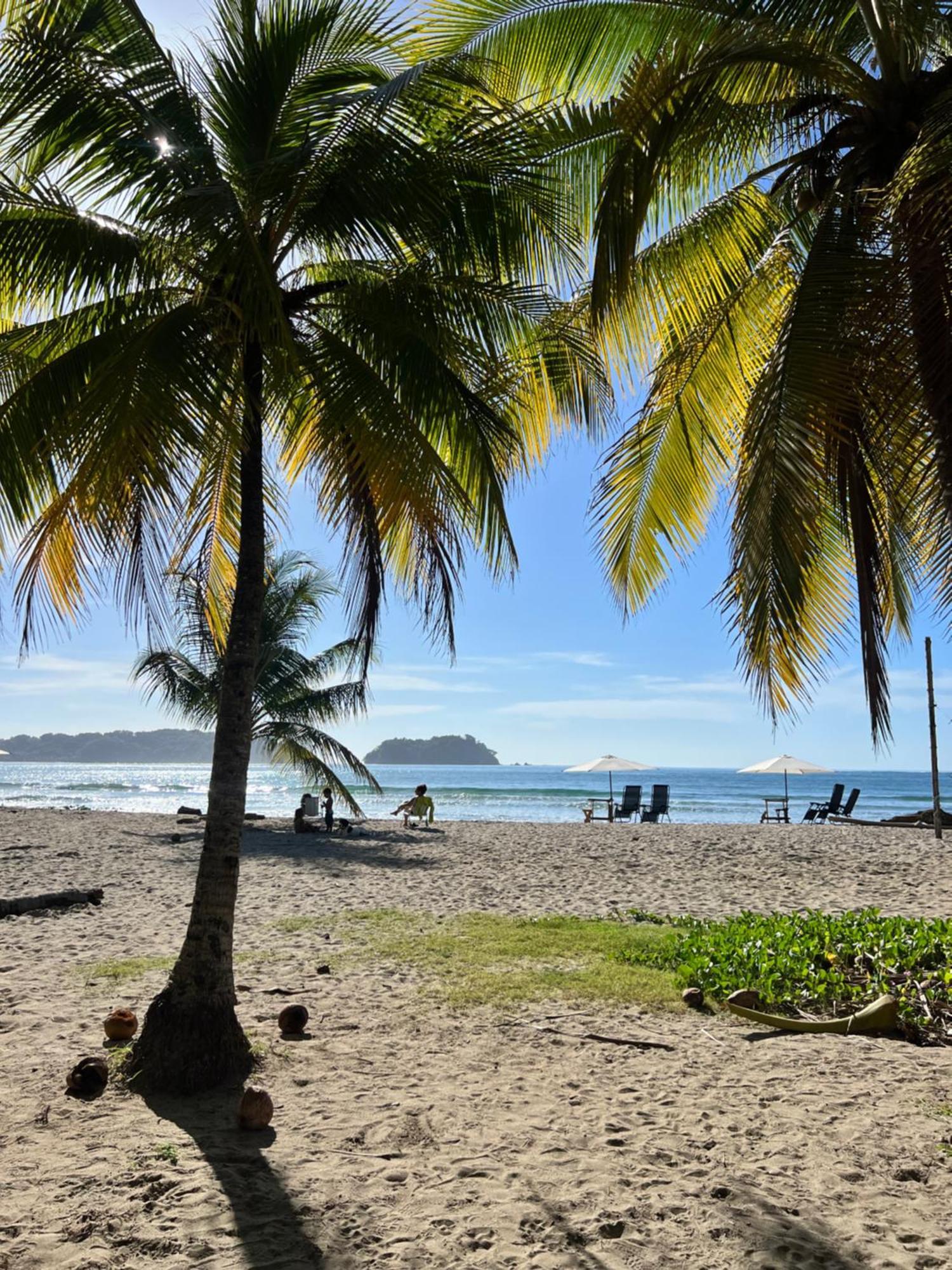 La Flor De Coco Hotel Sámara Kültér fotó